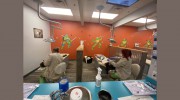 Children's Dental Ranch